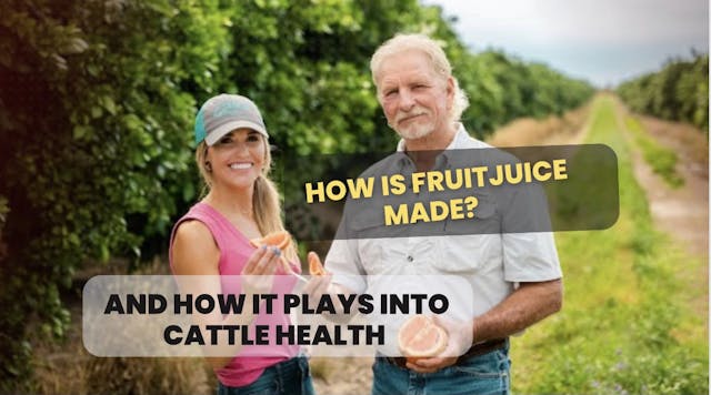 Ag on Wheels | How Citrus Juice is Ma...