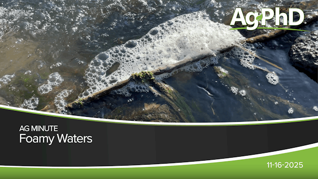 Foamy Waters | Ag PhD