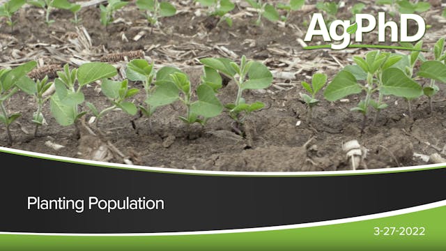 Planting Population