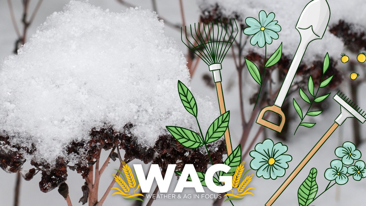 Will Mother Nature let me garden in 2023? - WAG In Focus 4-7-23