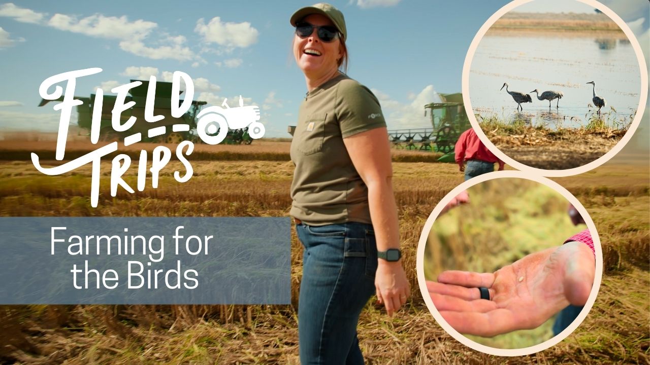 Conservation Farms and Ranches | Field Trips