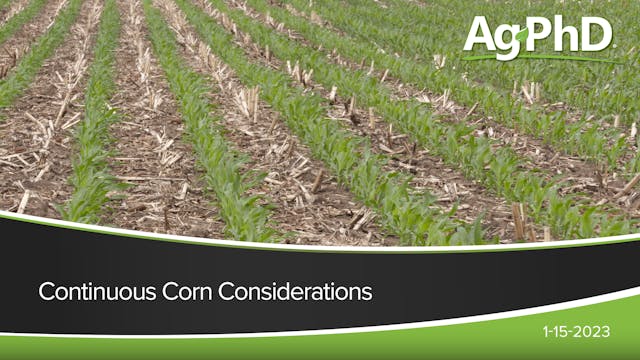 Continuous Corn Considerations
