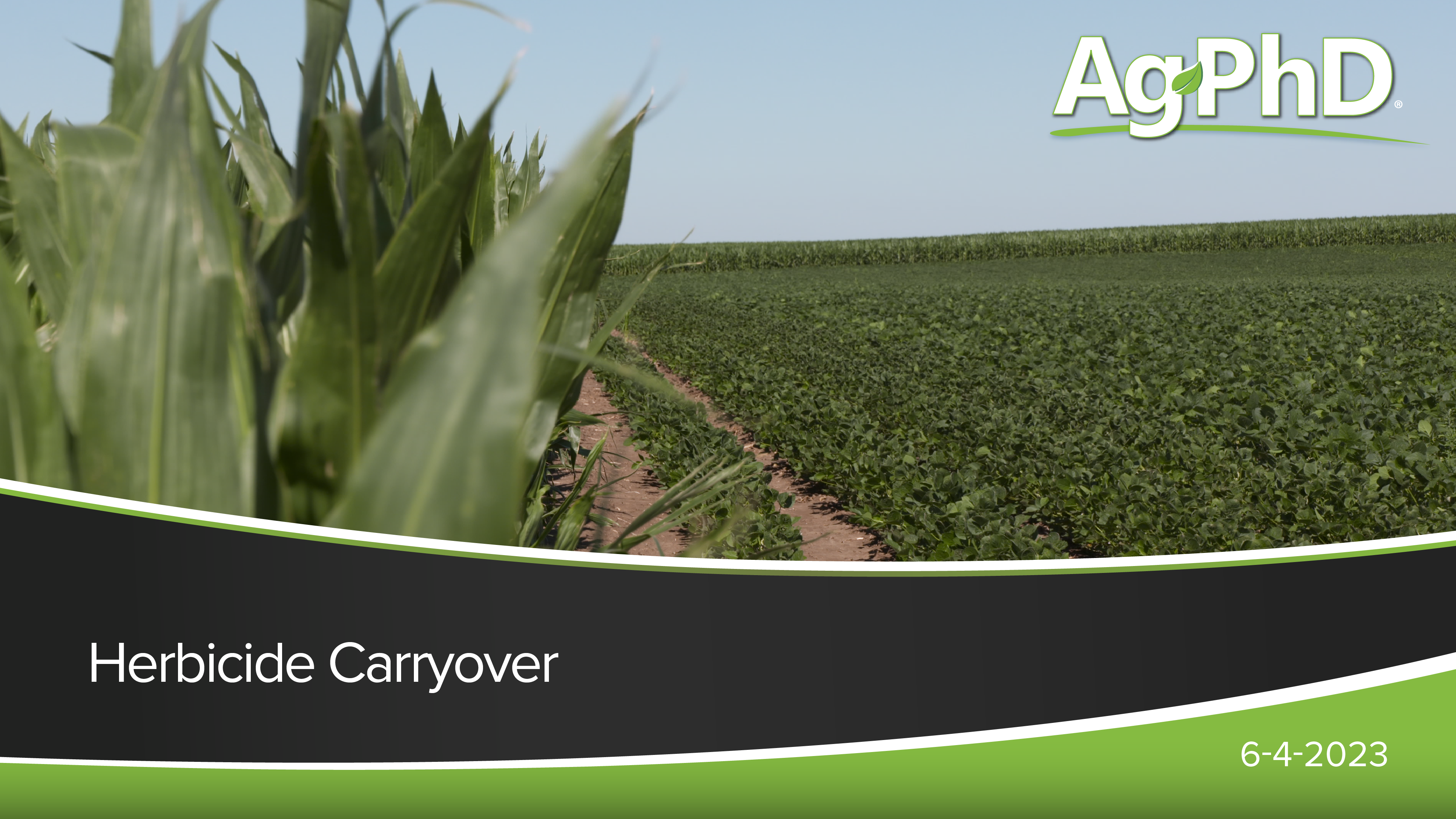 Herbicide Carryover | Ag PhD