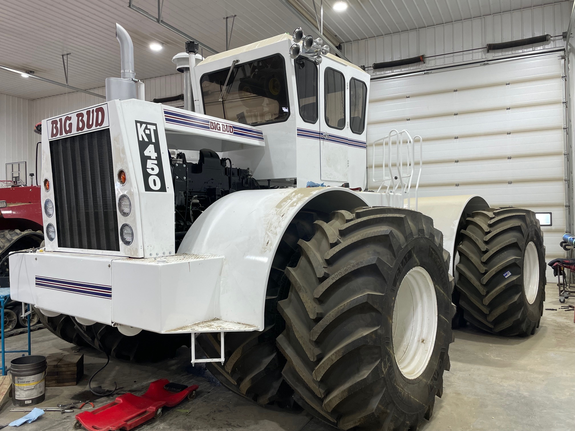 Free For All Tuesday | WAG in Focus 10-07-25