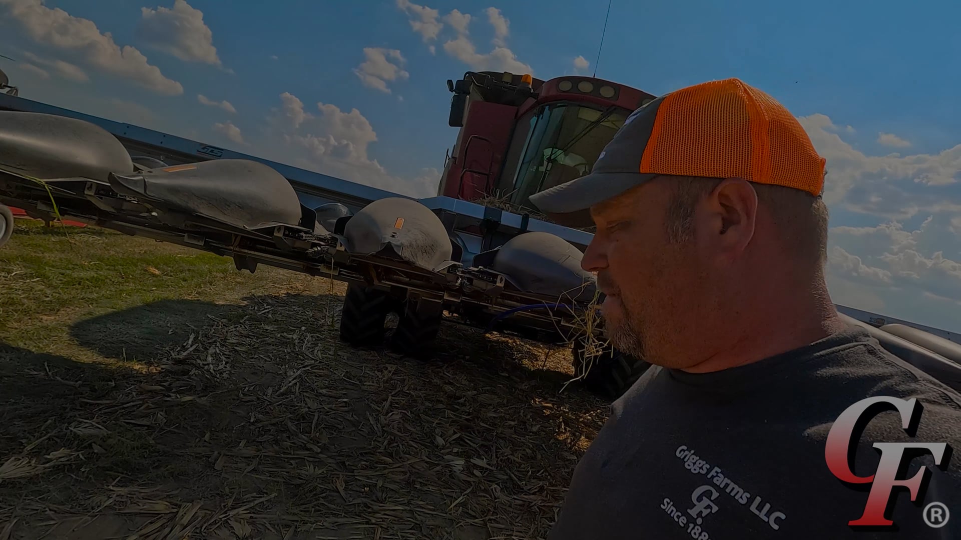 Do Biologicals Increase Yield In Corn  Corn Harvest #2 | Griggs Farms