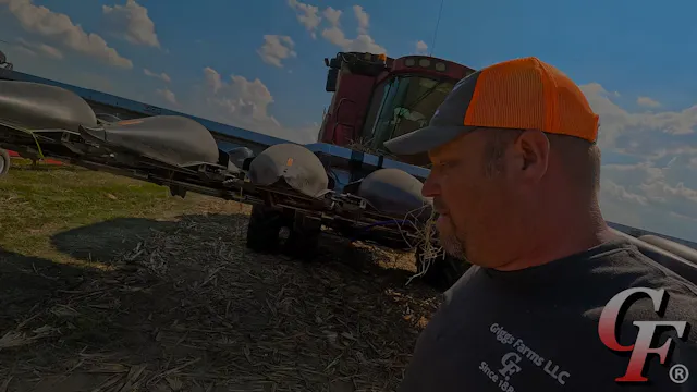 Do Biologicals Increase Yield In Corn...