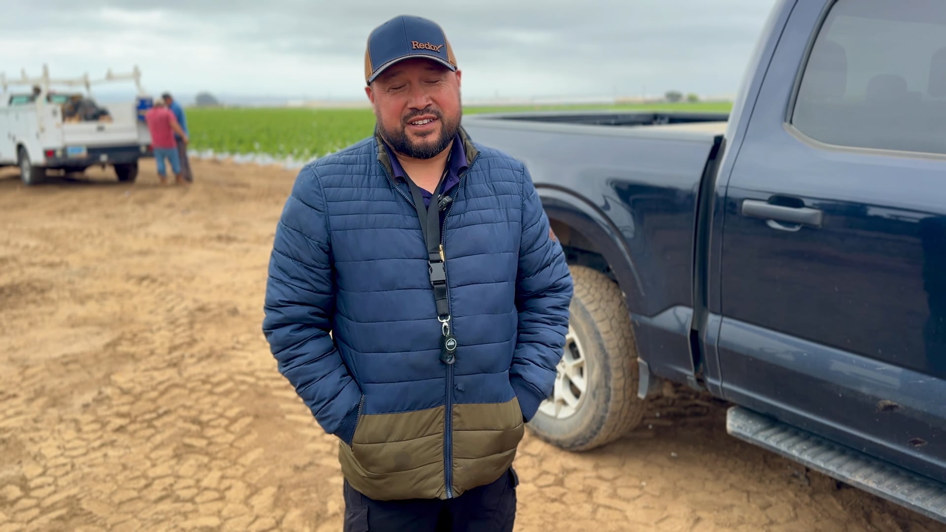 Keep Strawberry Plants Thriving | Redox