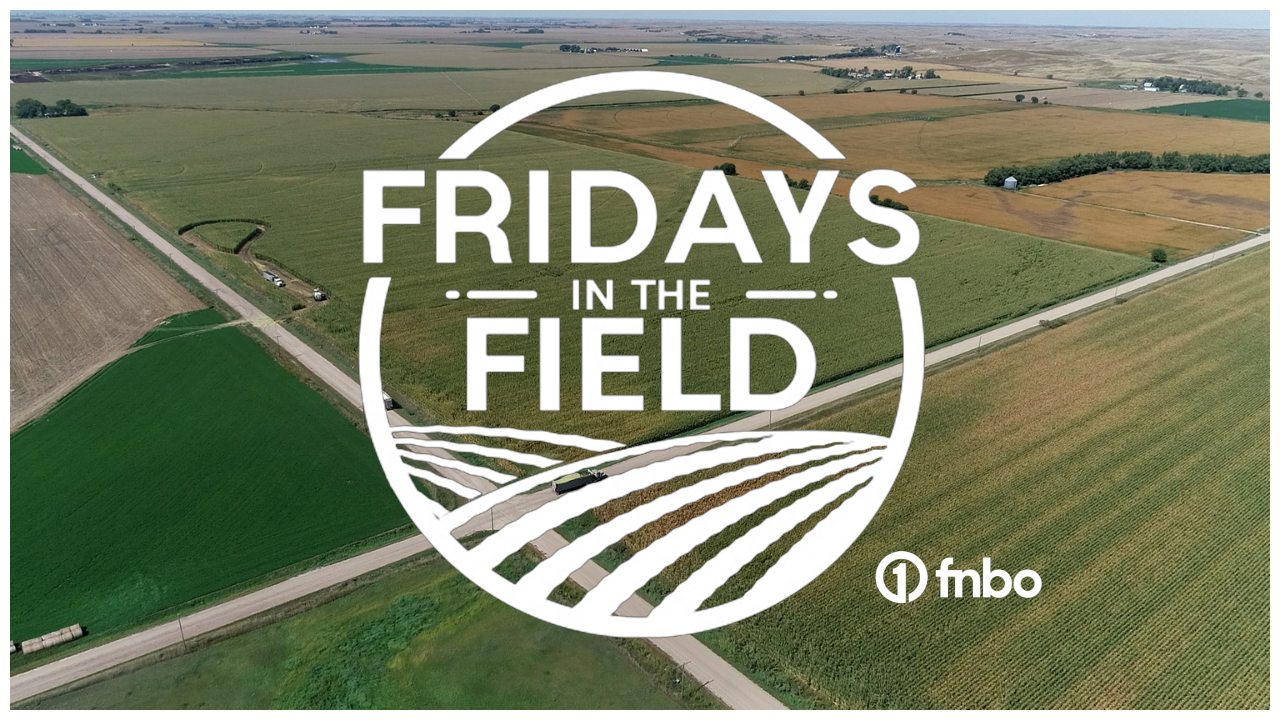 Fridays in the Field