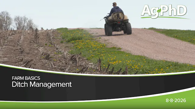 Ditch Management | Ag PhD