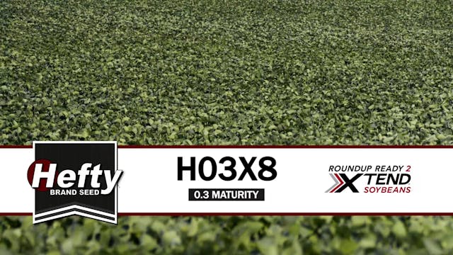 H03X8 | 0.3-Maturity | Xtend