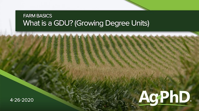 What is a GDU? (Growing Degree Unit) | Ag PhD
