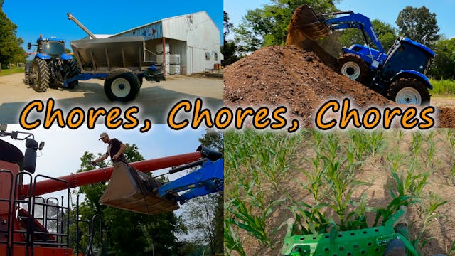 Chores, Chores, Chores | Griggs Farms