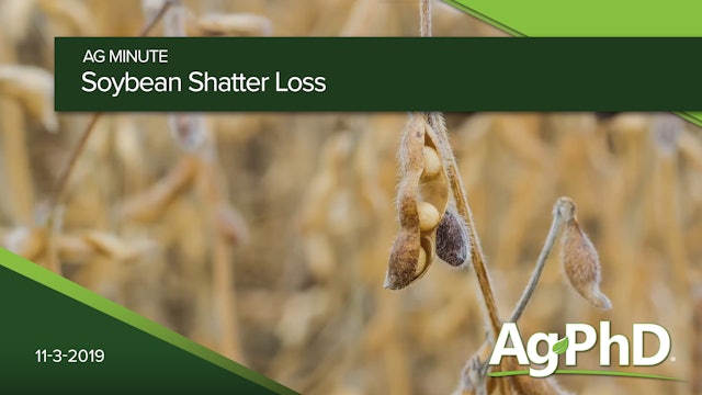 Soybean Shatter Loss