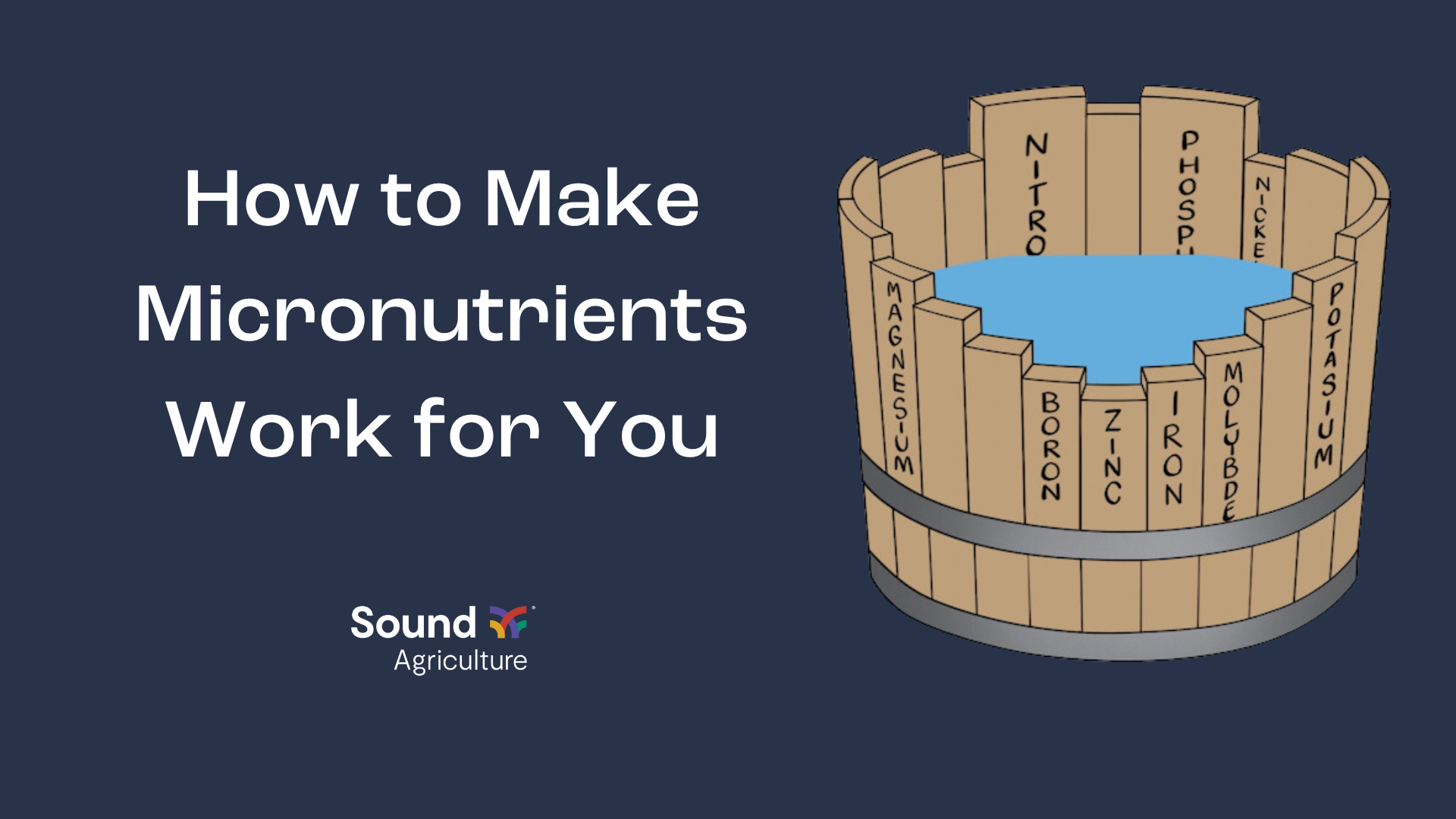 Make Micronutrients Work for You | Sound Ag