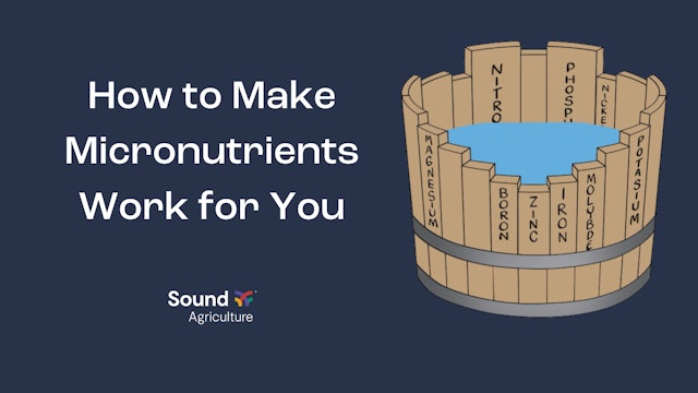 Make Micronutrients Work for You | Sound Ag