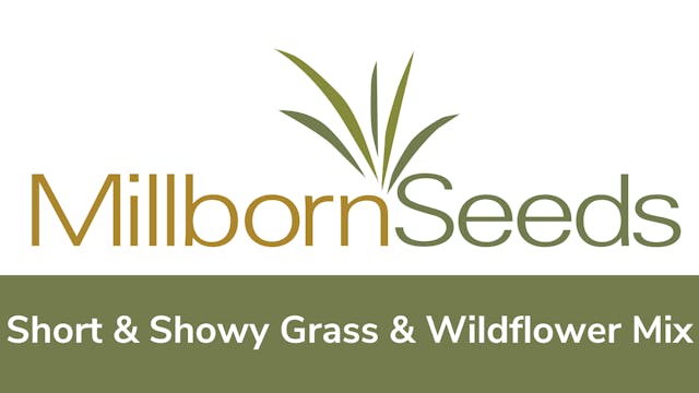 Millborn Seeds - Blooming Short & Showy