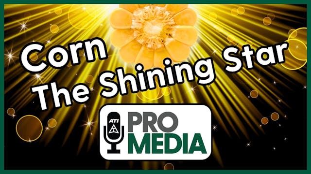 Corn - The Shining Star | ATI ProMedi...