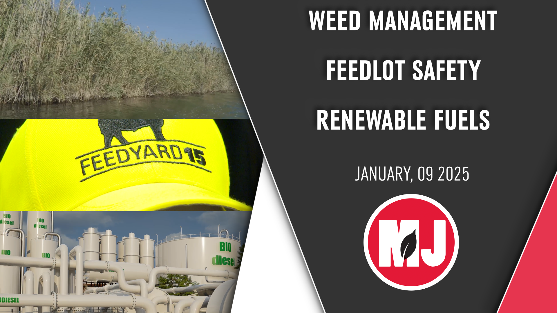 January 09,2026 | Market Journal