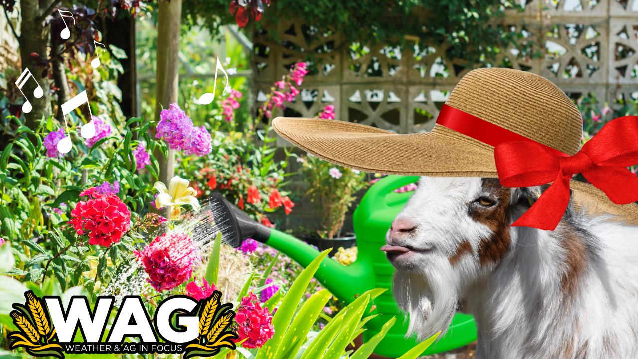 Bring on the Garden Season! | WAG in Focus 05-11-26