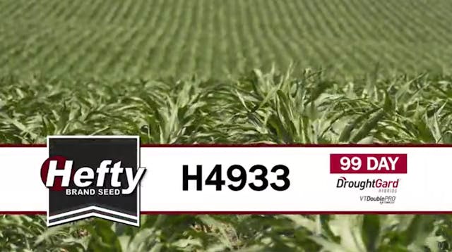 H4933 | 99-Day | DGVT2P