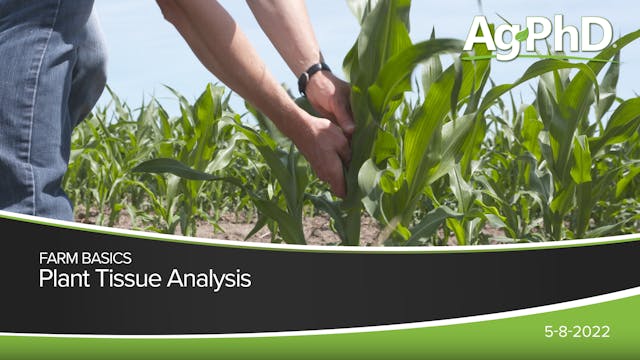 Plant Tissue Analysis | Ag PhD