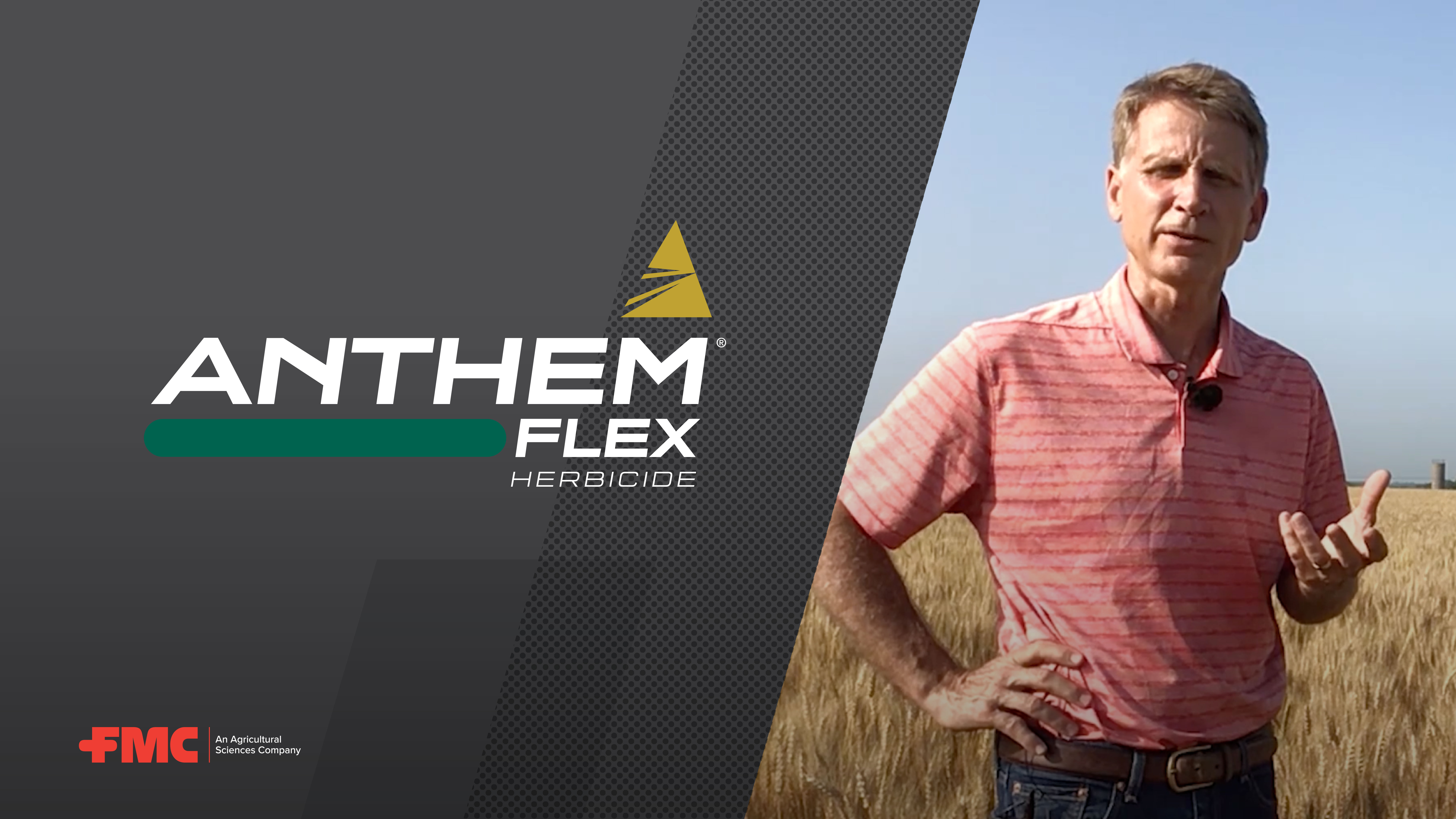 Wheat Weed Management Strategies With FMC to Help Avoid Yield Reduction