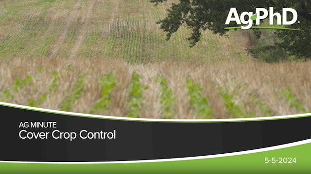 Cover Crop Control | Ag PhD