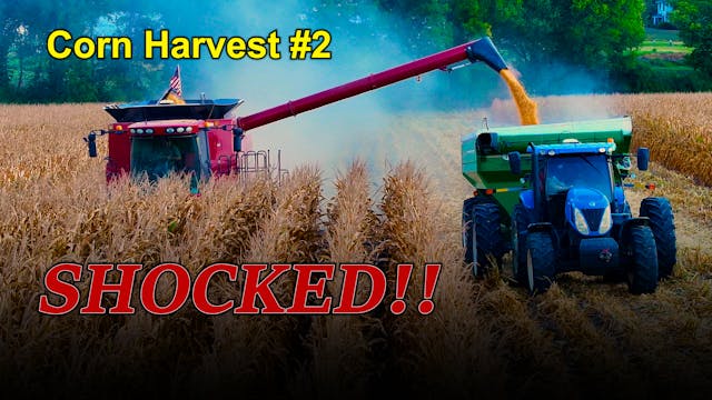 Labor Day Is For Laboring Corn Harves...