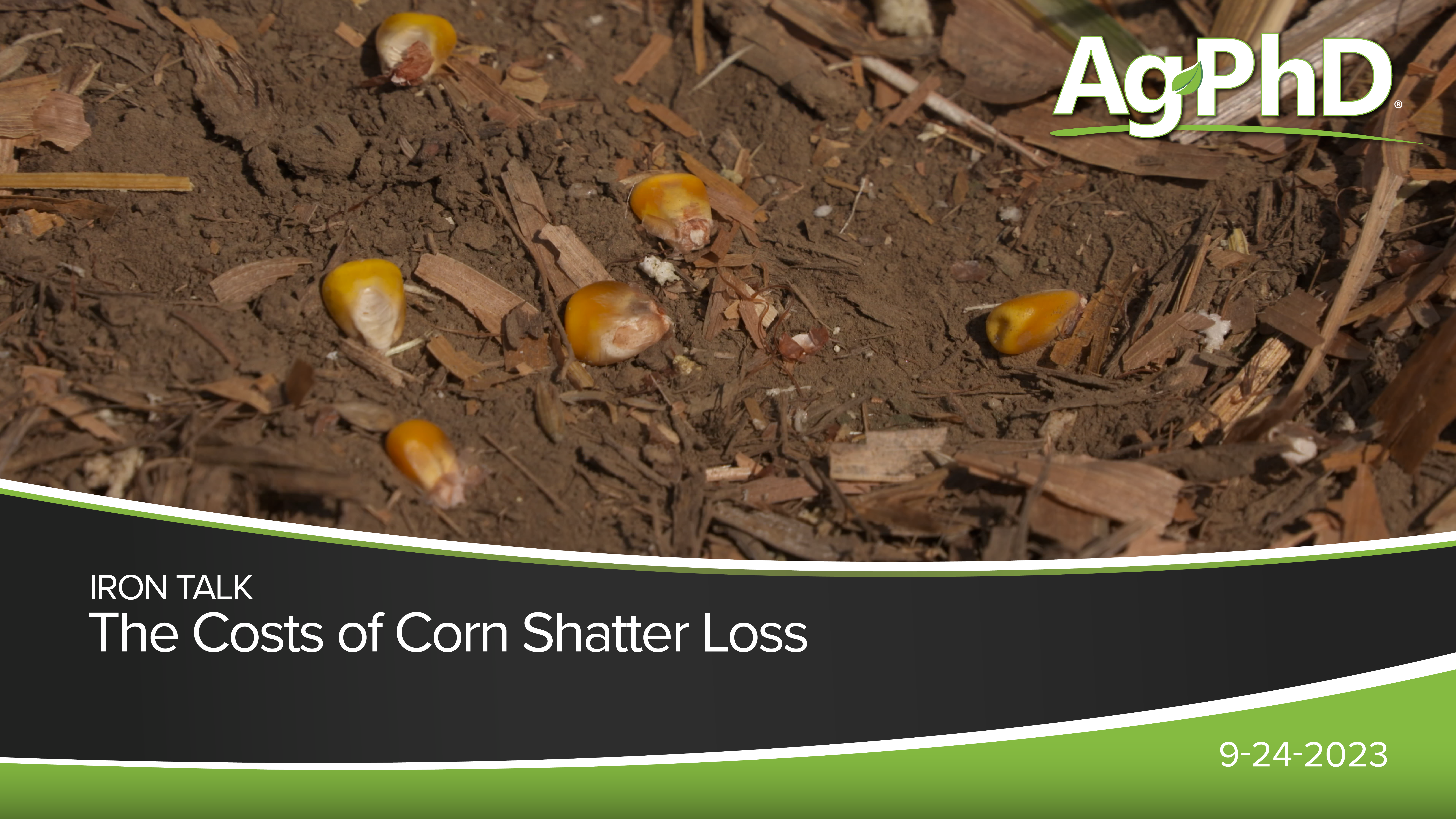 The Costs of Corn Shatter Loss | Ag PhD