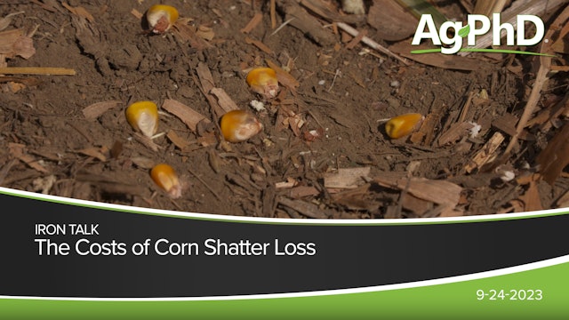 The Costs of Corn Shatter Loss | Ag PhD