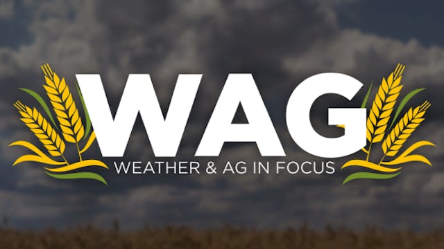 How's My Horse Health? | WAG in Focus...