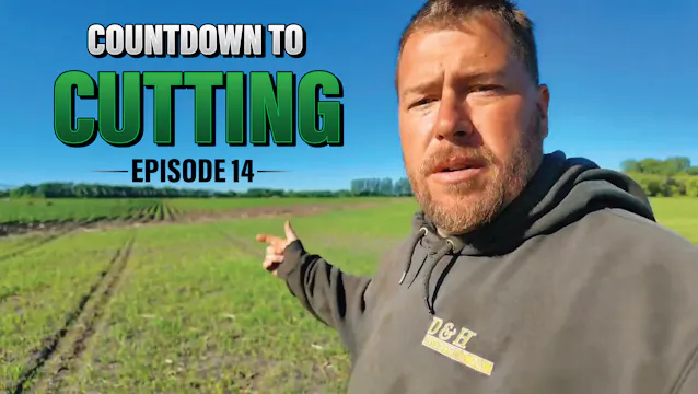 Hay Season is Upon Us | Northwoods