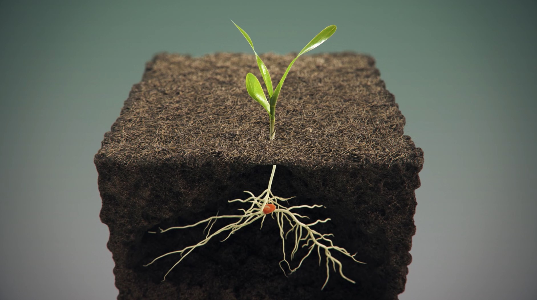 Copper | AgroLiquid B2B