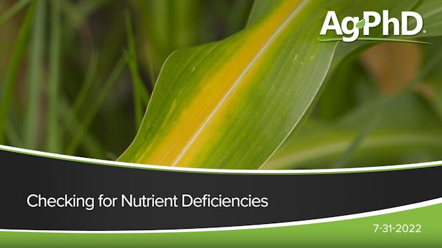 Checking for Nutrient Deficiencies | ...