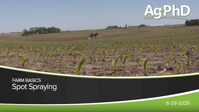 Spot Spraying | Ag PhD
