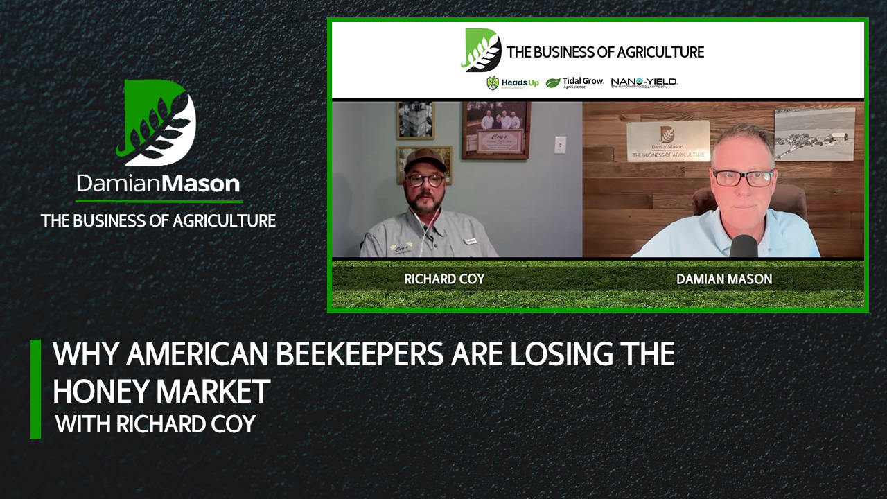 Why American Beekeepers Are Losing the Honey Market | Damian Mason