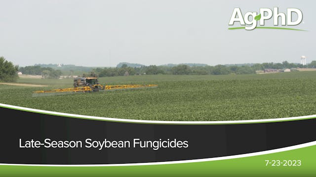 Late-Season Soybean Fungicides | Ag PhD