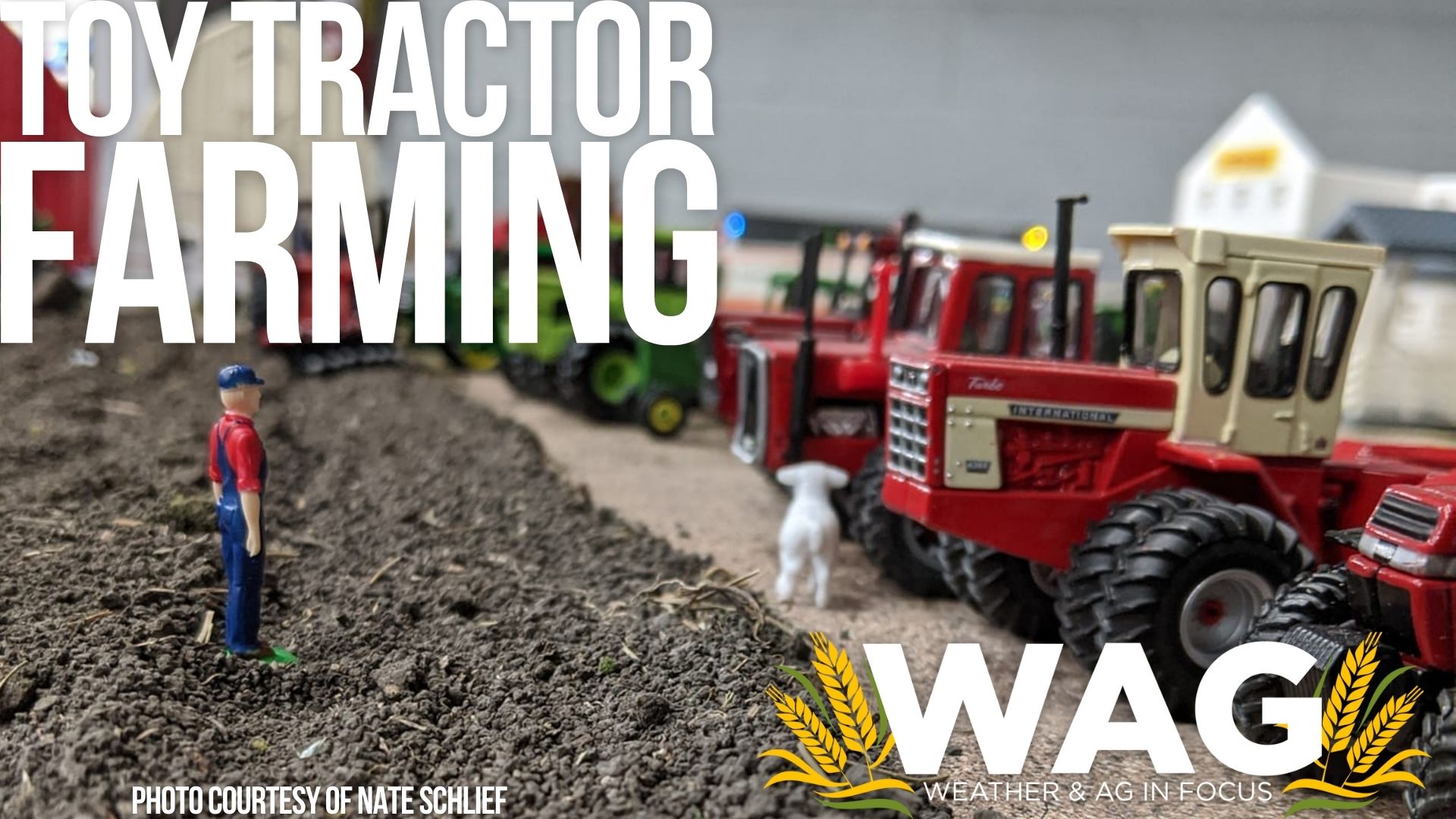 What's Big in the World of Miniature Toy Farming! WAG In Focus 12-20-22 