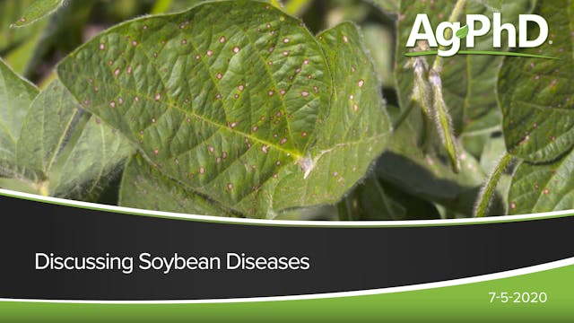 Discussing Soybean Diseases | Ag PhD