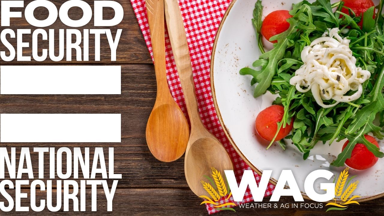 Colin Woodall: Food security = national security 12-13-22 WAG In Focus