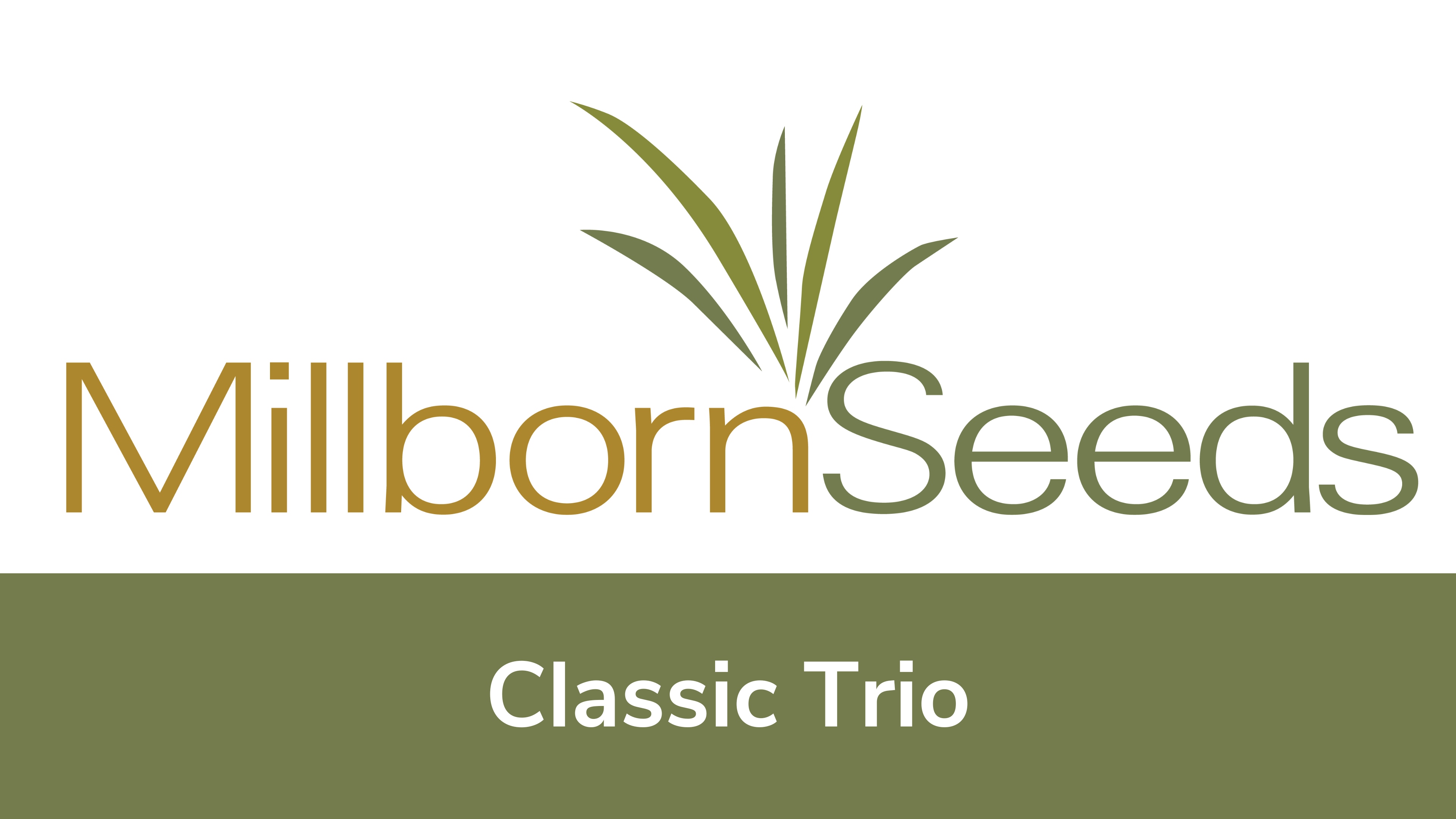 Millborn Seeds - Classic Trio