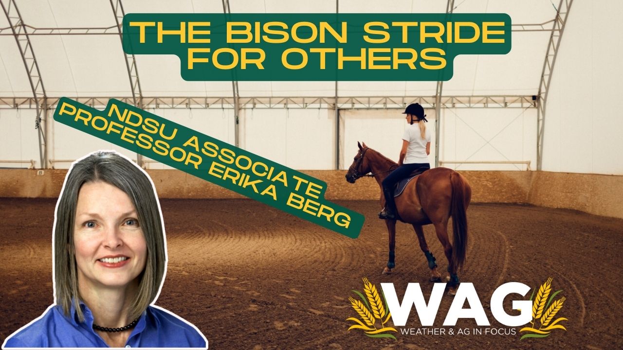 LIVE - The Bison Stride for Others - WAG In Focus 9/11/23