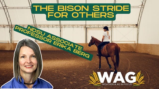 LIVE - The Bison Stride for Others - ...