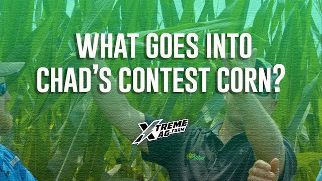 What Goes Into Chad's Contest Corn?