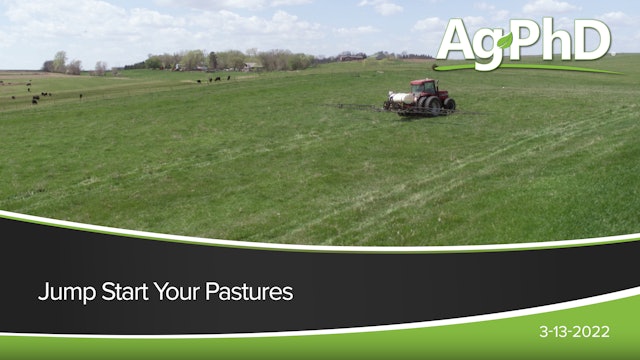 Jump Start Your Pastures | Ag PhD
