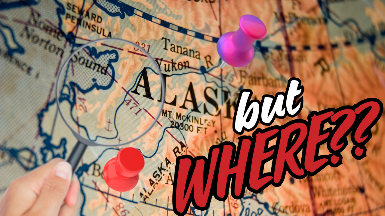 The Lone Dairy in Alaska?! | WAG in Focus 03-03-25