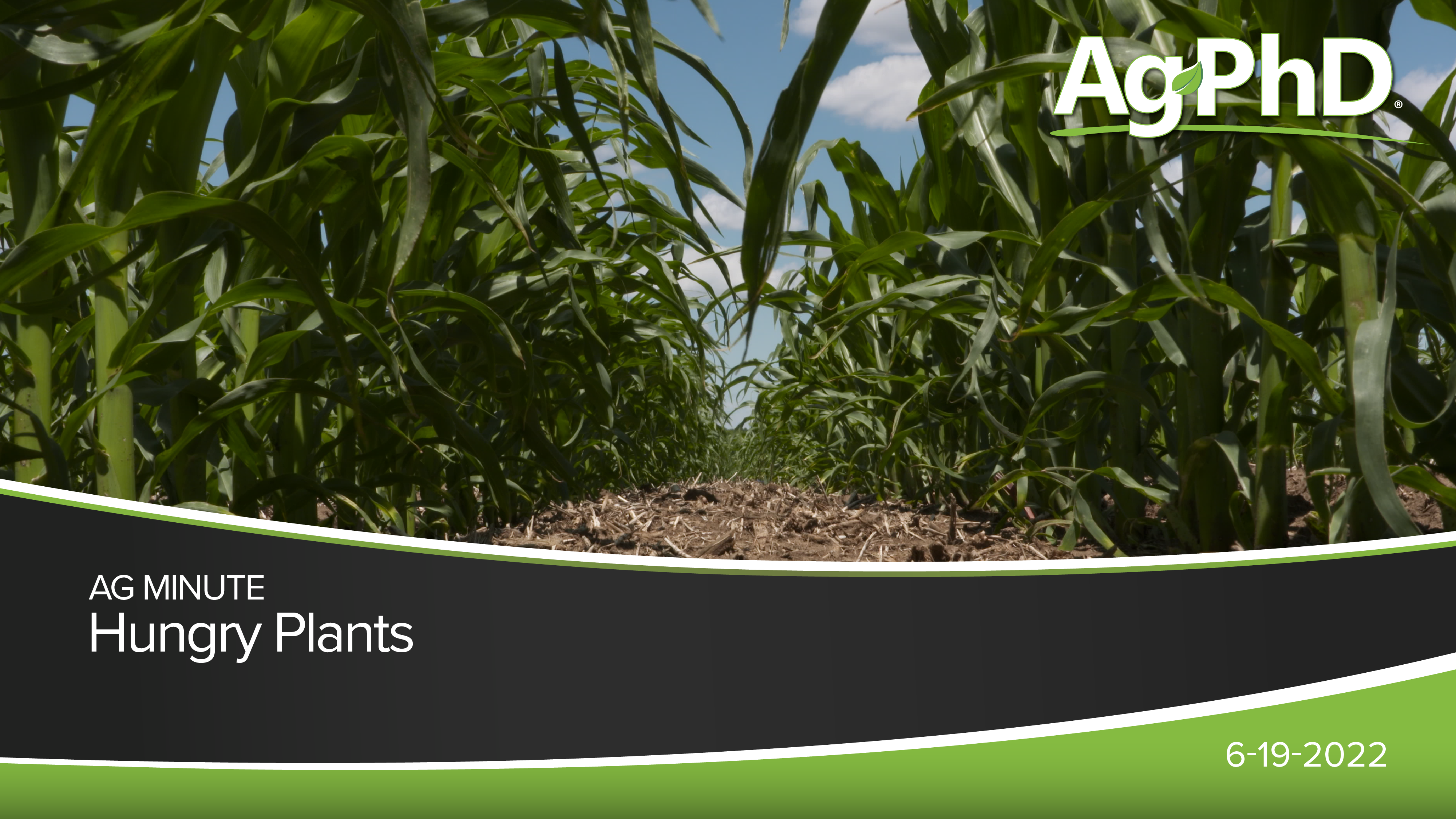 Hungry Plants | Ag PhD