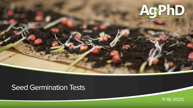 Seed Germination Tests | Ag PhD
