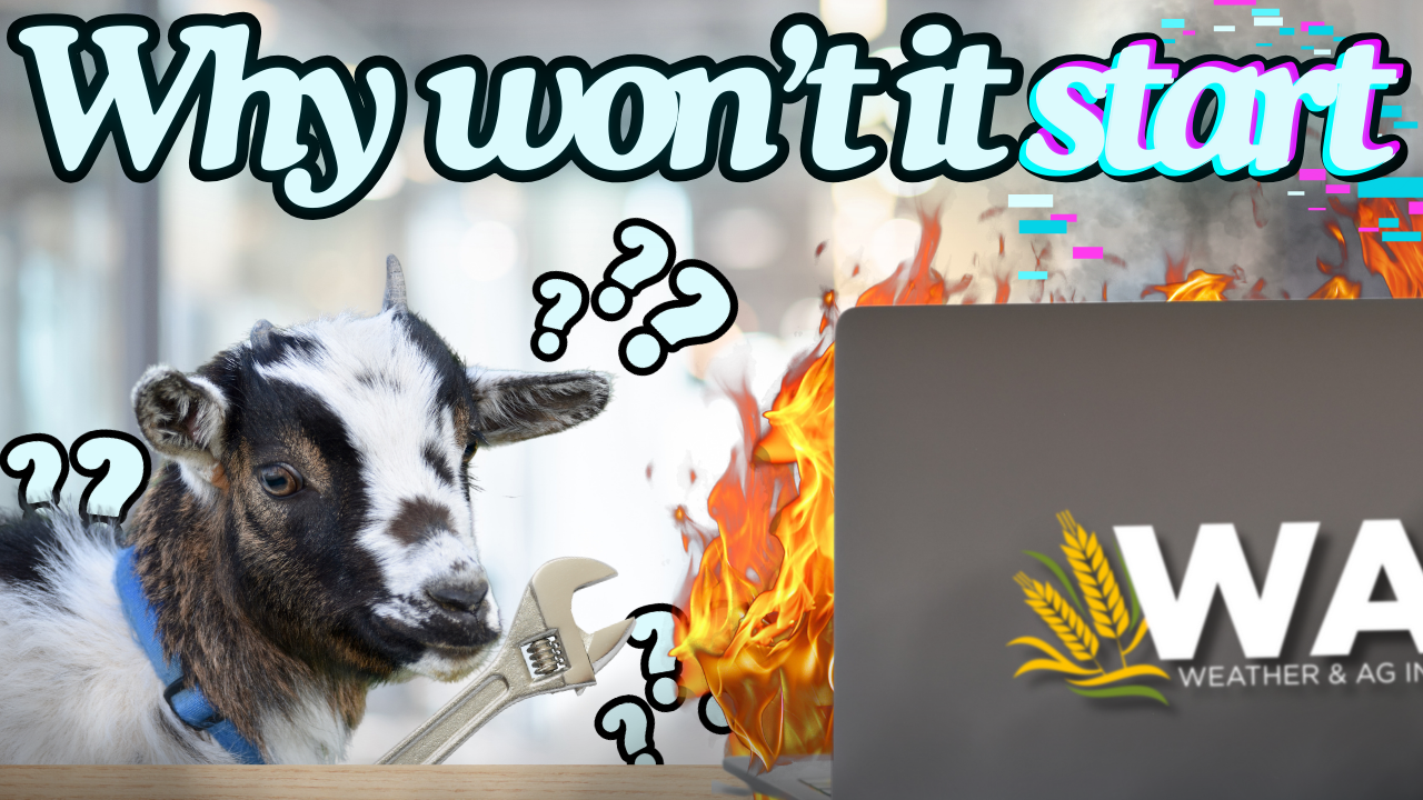 The Drainage Difference with Landmark Co | WAG in Focus 02-02-26