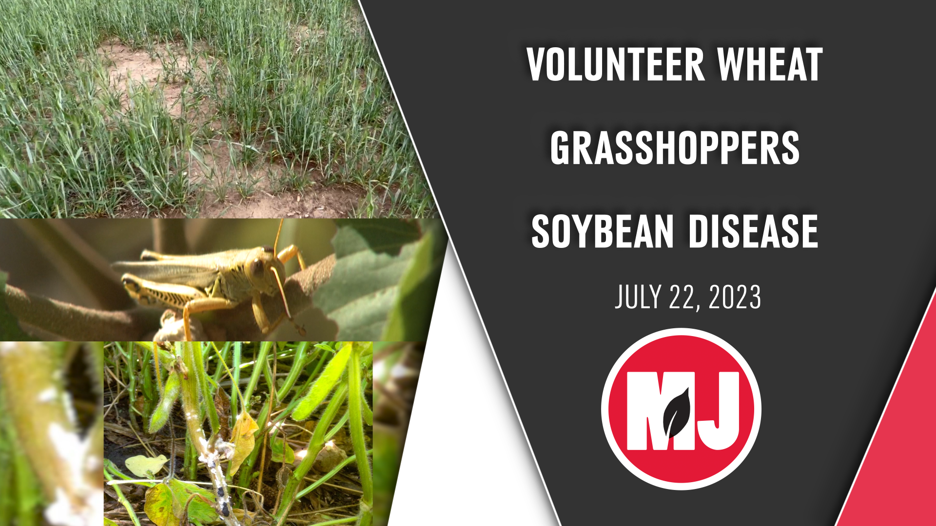 July 21, 2023 | Market Journal 